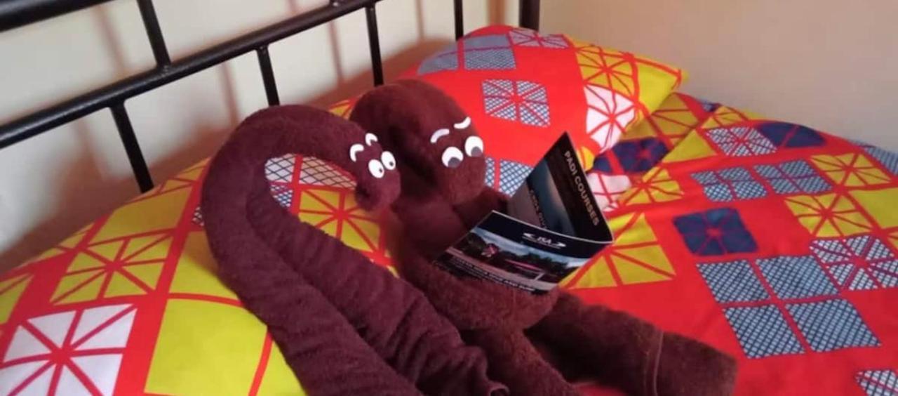 Casita El Sonido De Las Aves อูวีตา ภายนอก รูปภาพ